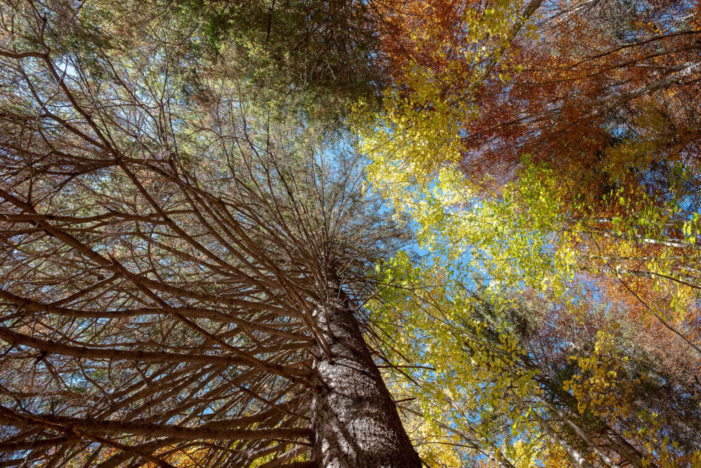 I colori dell’autunno: viaggio tra i laghi del basso Trentino.