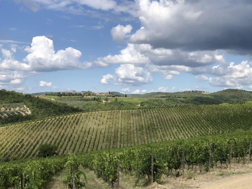 Le colline del Chianti