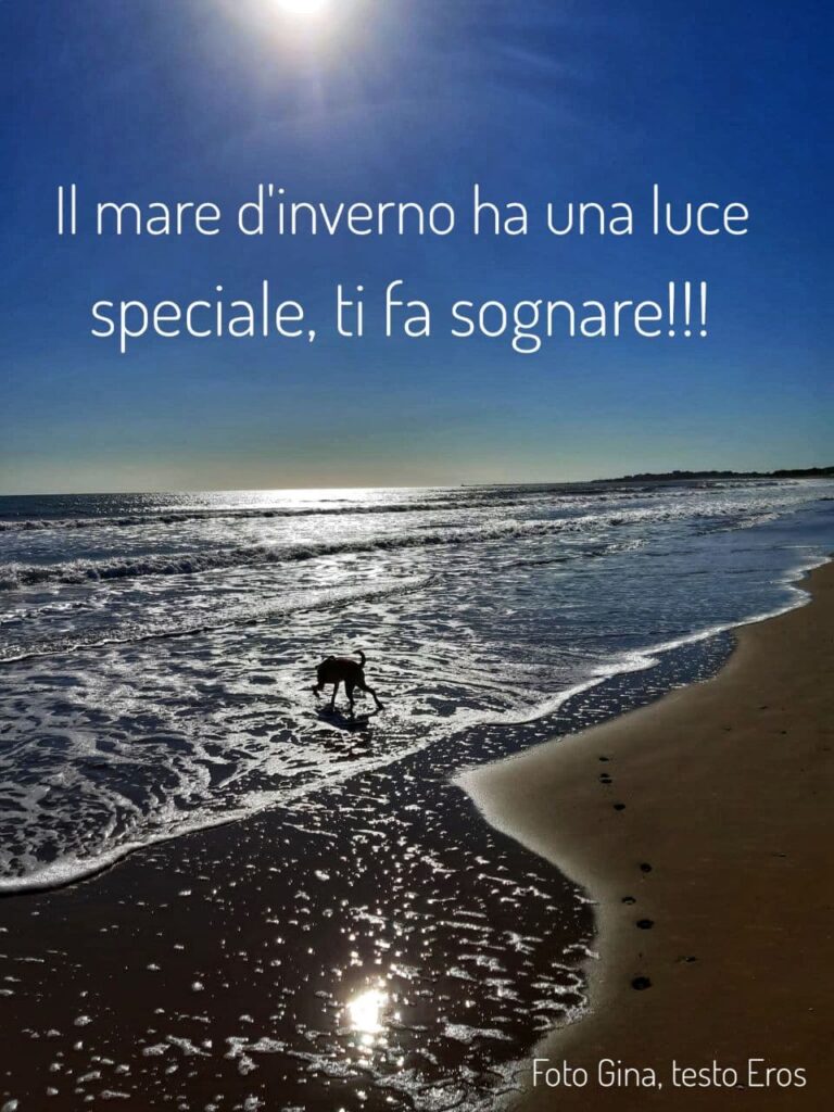 Versi in libertà