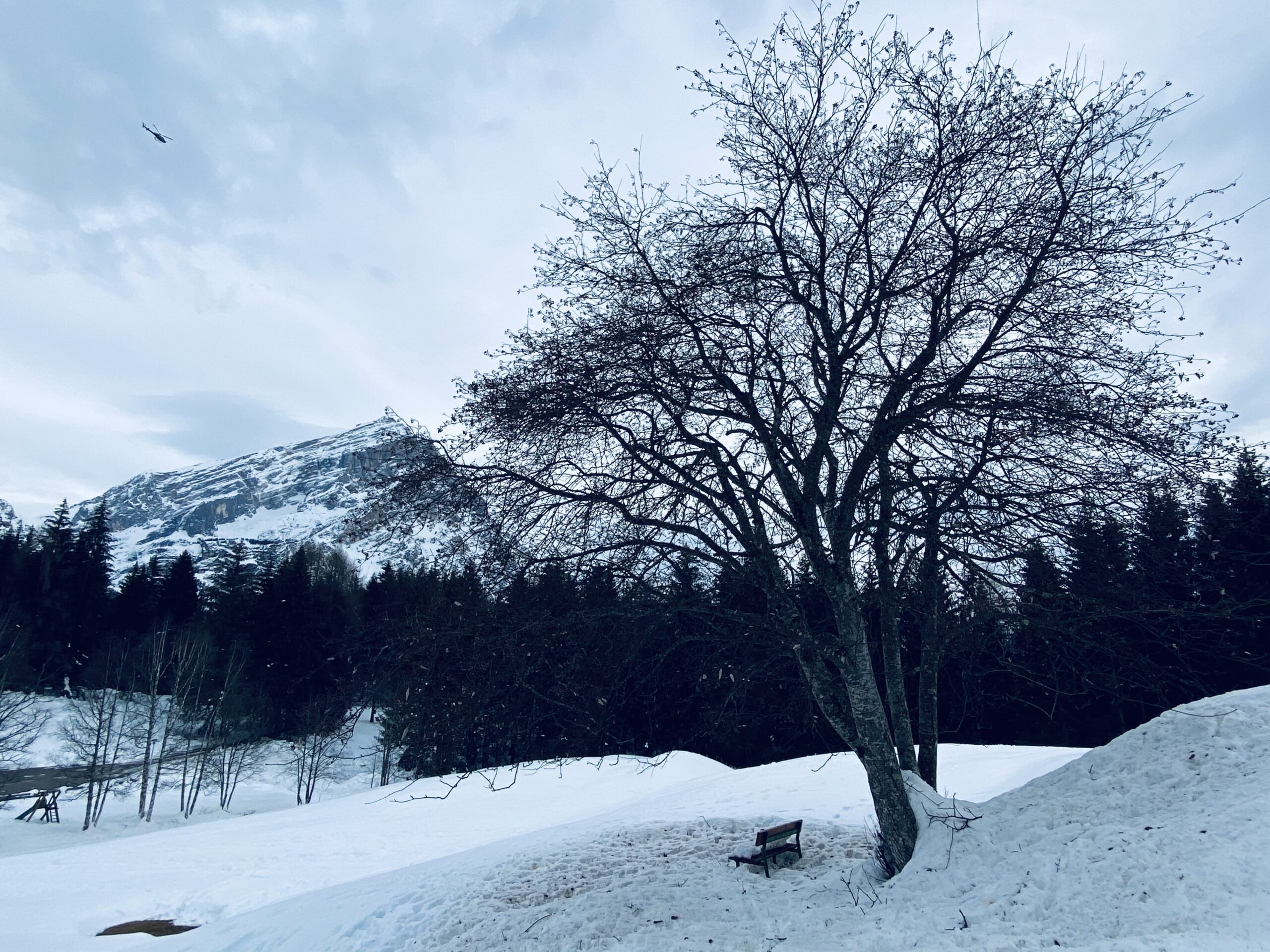 Monte Antelao San Vito di Cadore