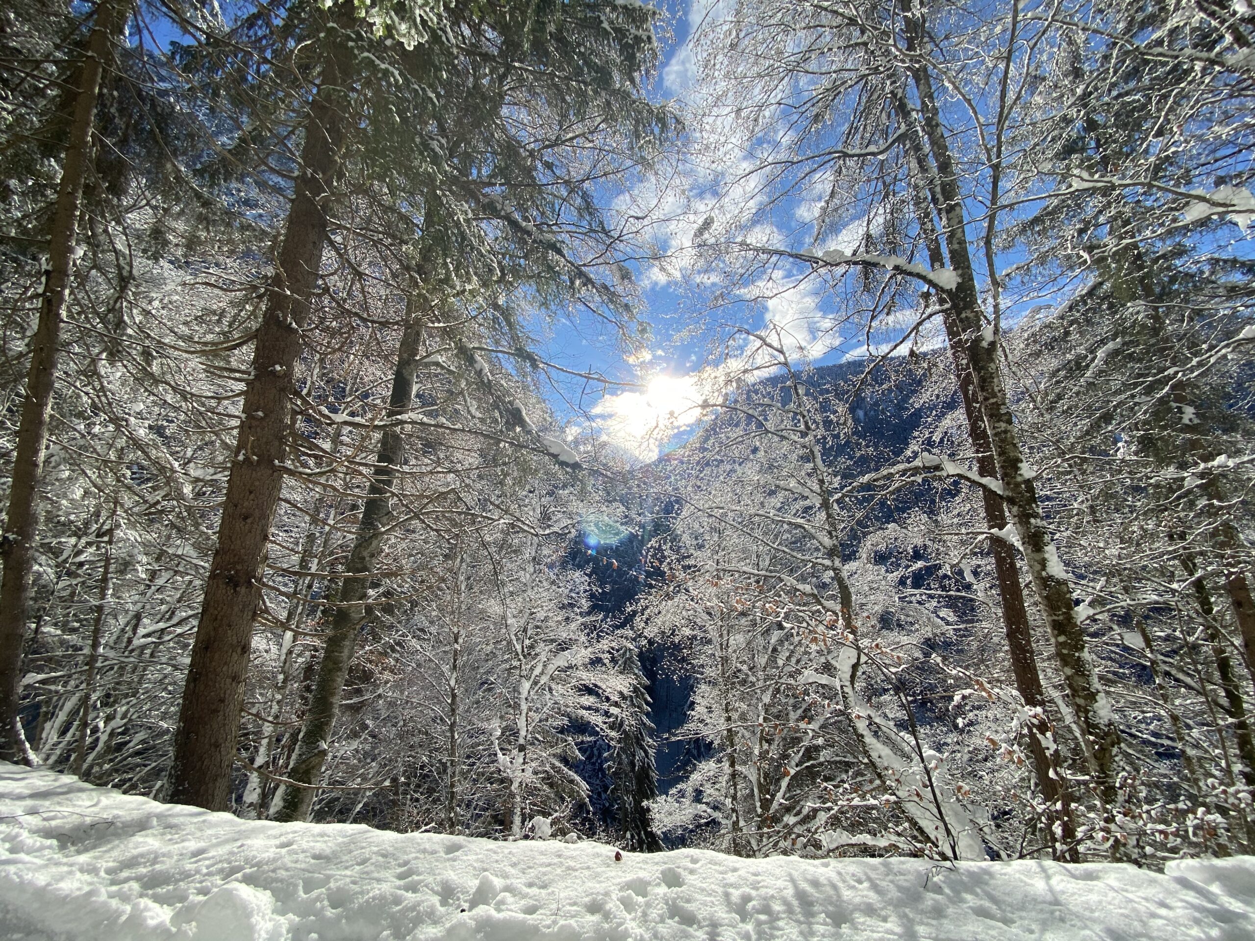 Rifugio Cercenà