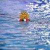 Pallanuoto: al via le semifinali scudetto