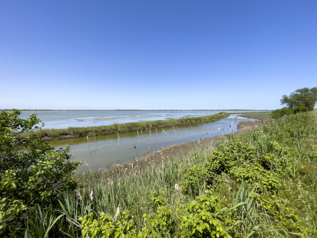 Delta del Po