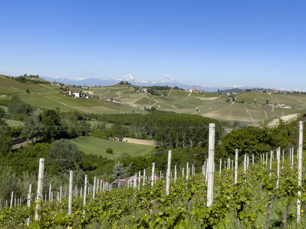 Langhe Monferrato Liguria