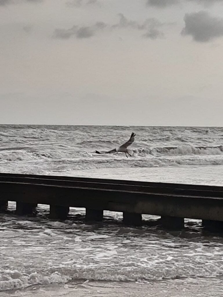 l'estate e la voglia di mare