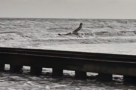 L’estate e la voglia di mare