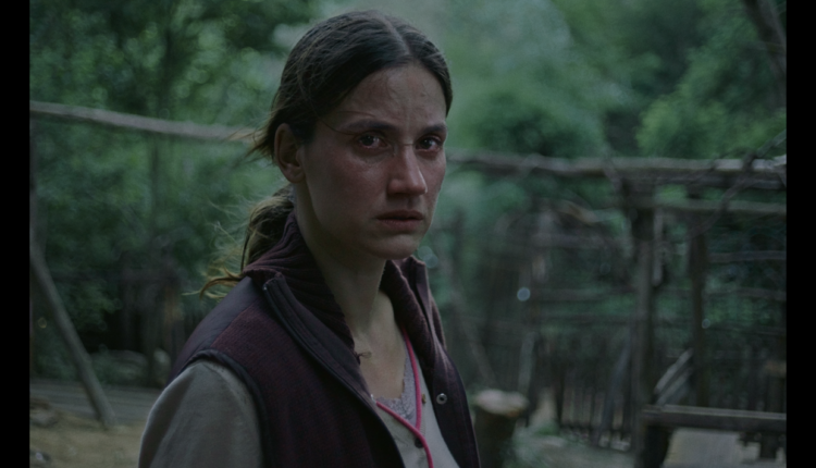 DARKLING di Dusan Milic. Photo of Danica Curcic