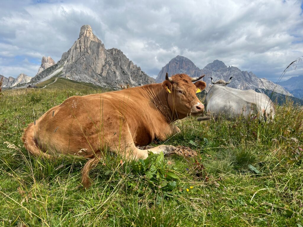 escursione all'altopiano di Mondeval