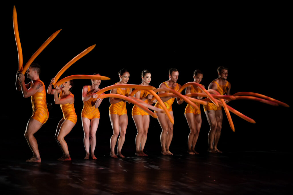 Momix Verona