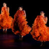 Momix Verona