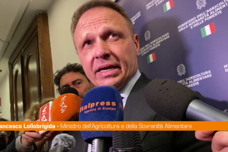 Sardegna, Lollobrigida “Con Solinas non sarebbe andata diversamente”