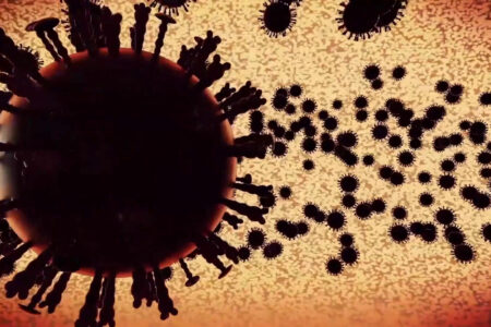 Covid, gli anticorpi monoclonali contro il virus