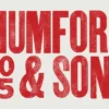 Mumford Song Arena di Verona