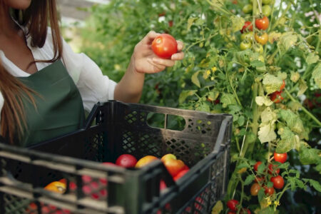 L’agroalimentare traina l’economia italiana