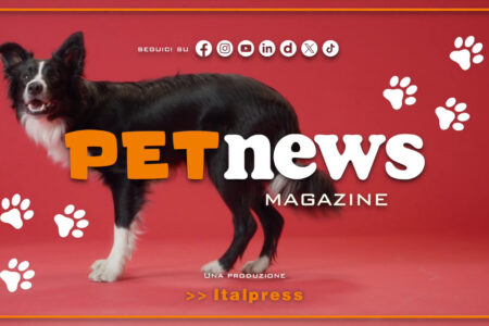 PetNews Magazine – 29/4/2025
