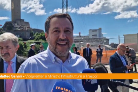 Fecondazione assistita, Salvini “Da Consulta sentenza politica”