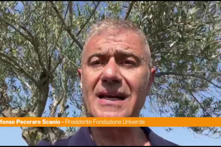 Pecoraro Scanio “La Sardegna sostenga agricoltori nelle aree protette”